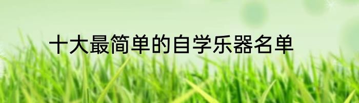 十大最简单的自学乐器名单