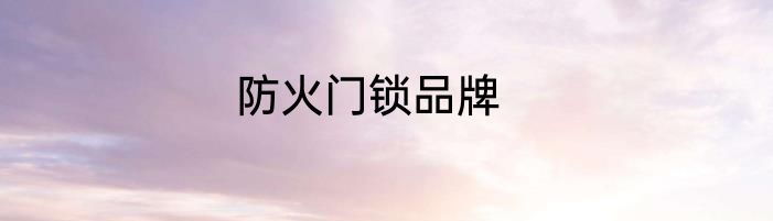 防火门锁品牌