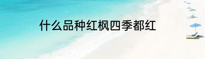 什么品种红枫四季都红