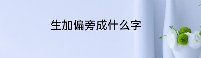 生加偏旁成什么字