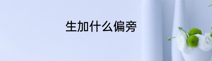生加什么偏旁