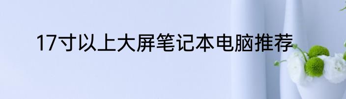 17寸以上大屏笔记本电脑推荐