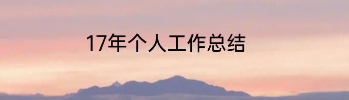 17年个人工作总结