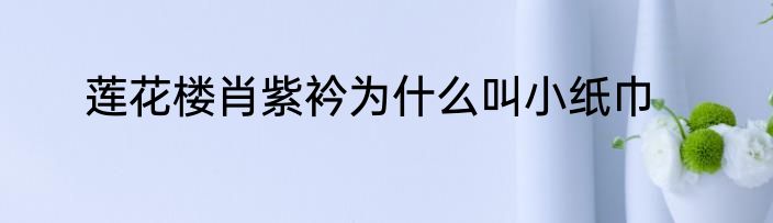 莲花楼肖紫衿为什么叫小纸巾