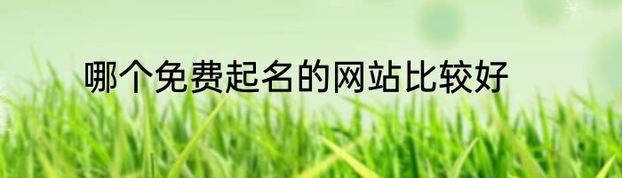哪个免费起名的网站比较好