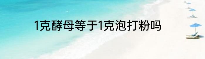 1克酵母等于1克泡打粉吗