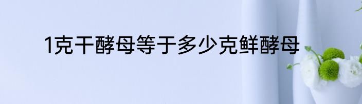 1克干酵母等于多少克鲜酵母