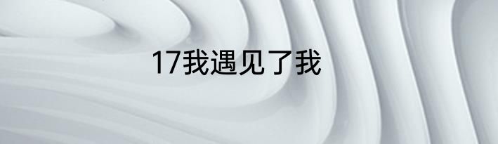 17我遇见了我