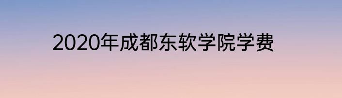 2020年成都东软学院学费
