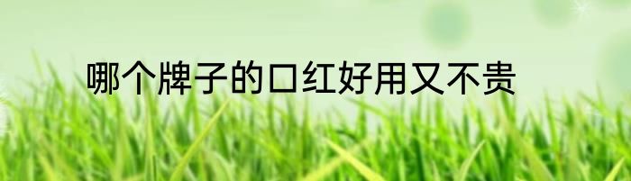 哪个牌子的口红好用又不贵