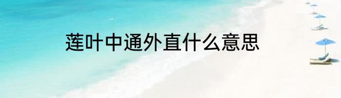 莲叶中通外直什么意思