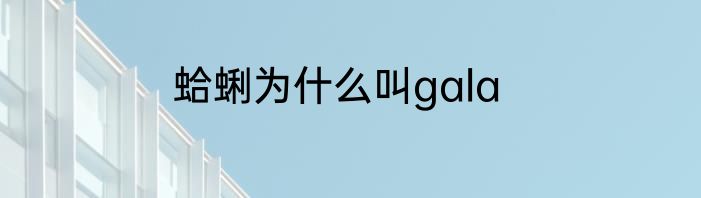 蛤蜊为什么叫gala