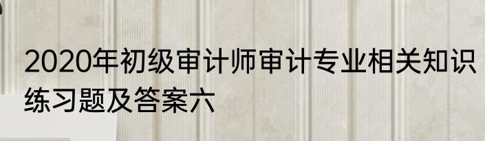2020年初级审计师审计专业相关知识练习题及答案六