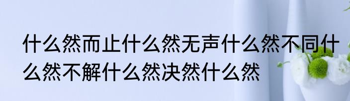什么然而止什么然无声什么然不同什么然不解什么然决然什么然