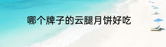 哪个牌子的云腿月饼好吃