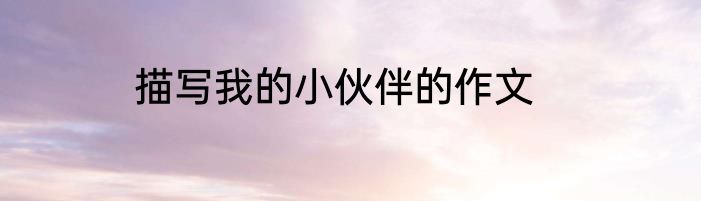 描写我的小伙伴的作文
