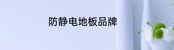 防静电地板品牌