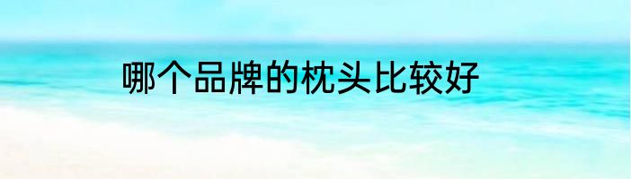 哪个品牌的枕头比较好
