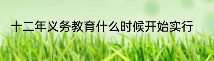 十二年义务教育什么时候开始实行
