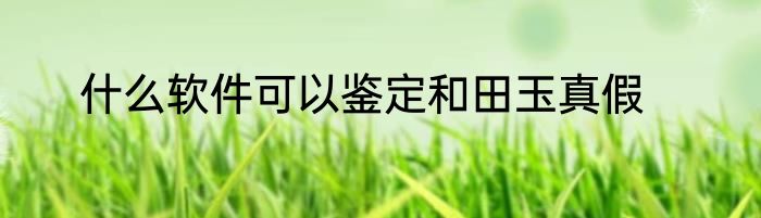 什么软件可以鉴定和田玉真假