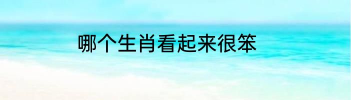 哪个生肖看起来很笨