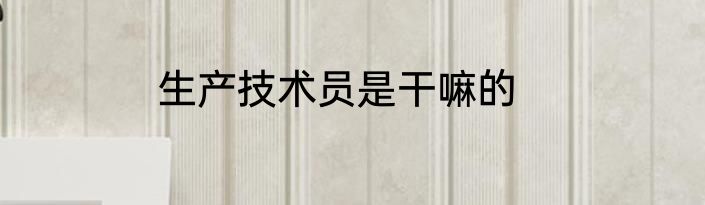 生产技术员是干嘛的