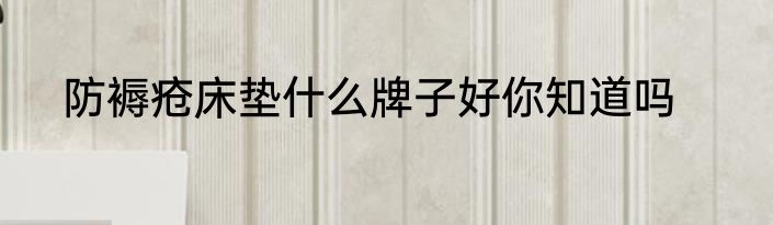 防褥疮床垫什么牌子好你知道吗