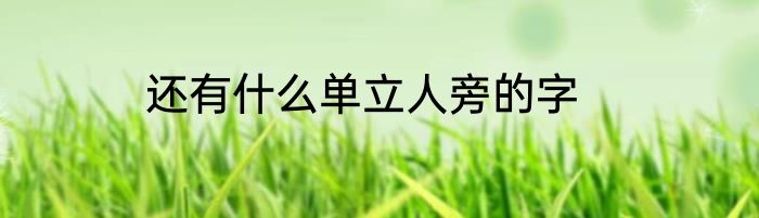 还有什么单立人旁的字