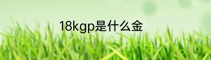 18kgp是什么金