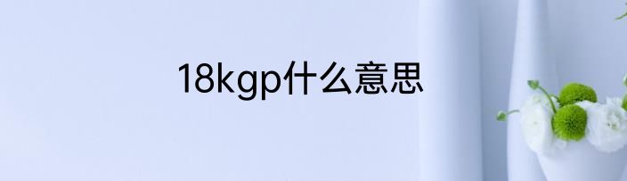18kgp什么意思