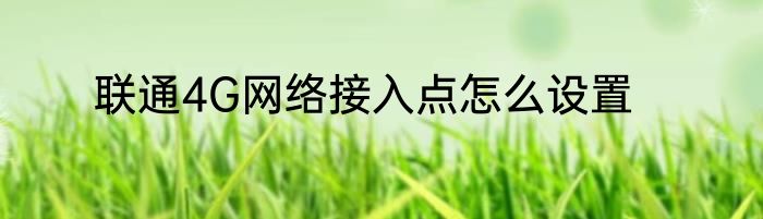 联通4G网络接入点怎么设置
