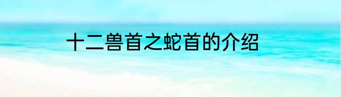 十二兽首之蛇首的介绍