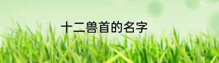 十二兽首的名字