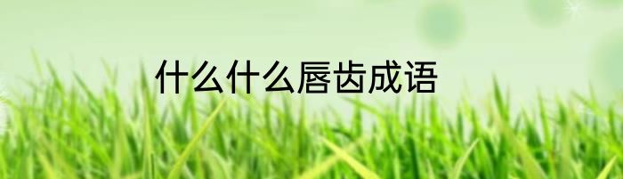 什么什么唇齿成语