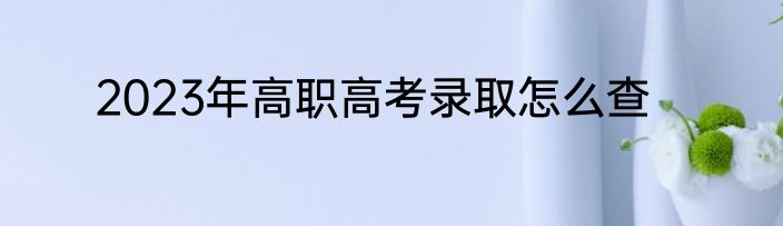 2023年高职高考录取怎么查