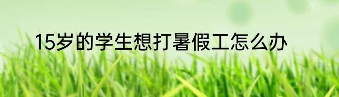 15岁的学生想打暑假工怎么办