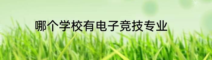 哪个学校有电子竞技专业