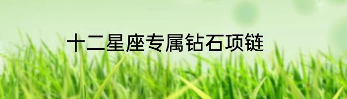 十二星座专属钻石项链