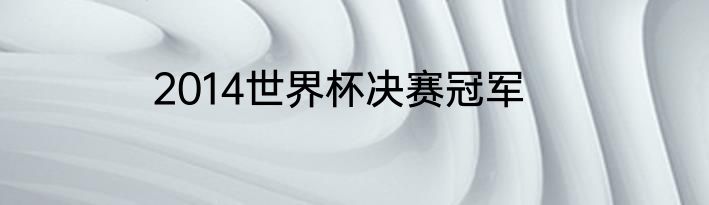 2014世界杯决赛冠军