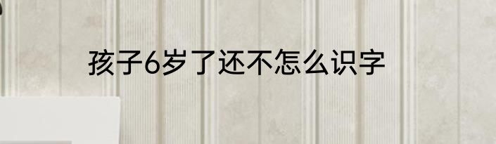 孩子6岁了还不怎么识字