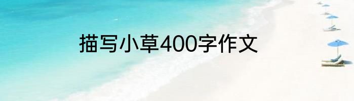 描写小草400字作文