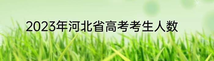 2023年河北省高考考生人数