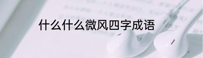 什么什么微风四字成语