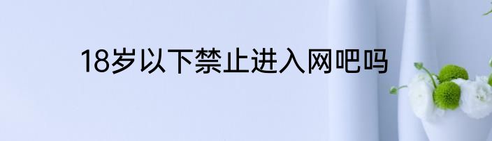 18岁以下禁止进入网吧吗