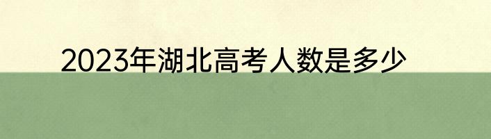 2023年湖北高考人数是多少