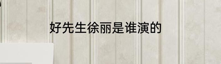 好先生徐丽是谁演的