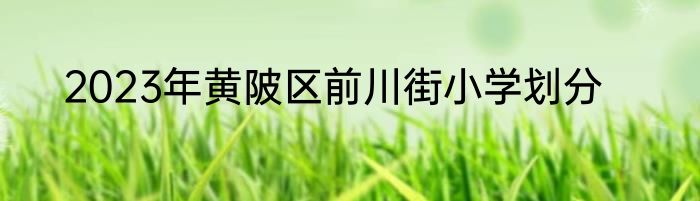 2023年黄陂区前川街小学划分