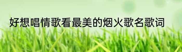 好想唱情歌看最美的烟火歌名歌词