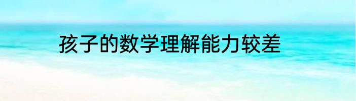 孩子的数学理解能力较差