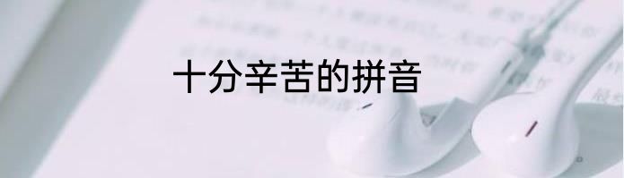 十分辛苦的拼音